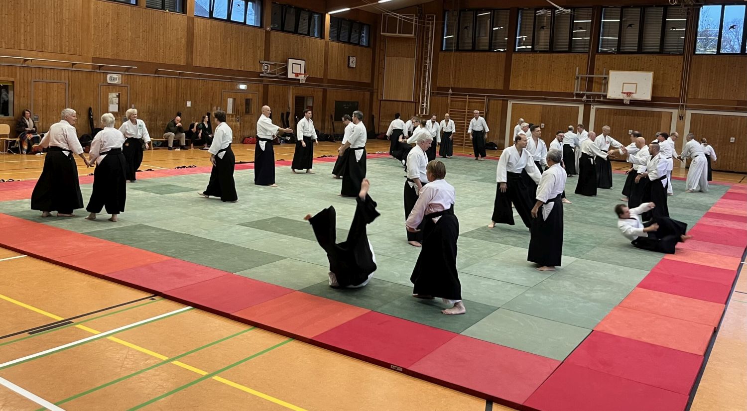 251110 BL HN Heymann - 1.jpg